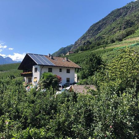 Pixnerhof - Urlaub Am Biohof Leilighet Castelbello Eksteriør bilde