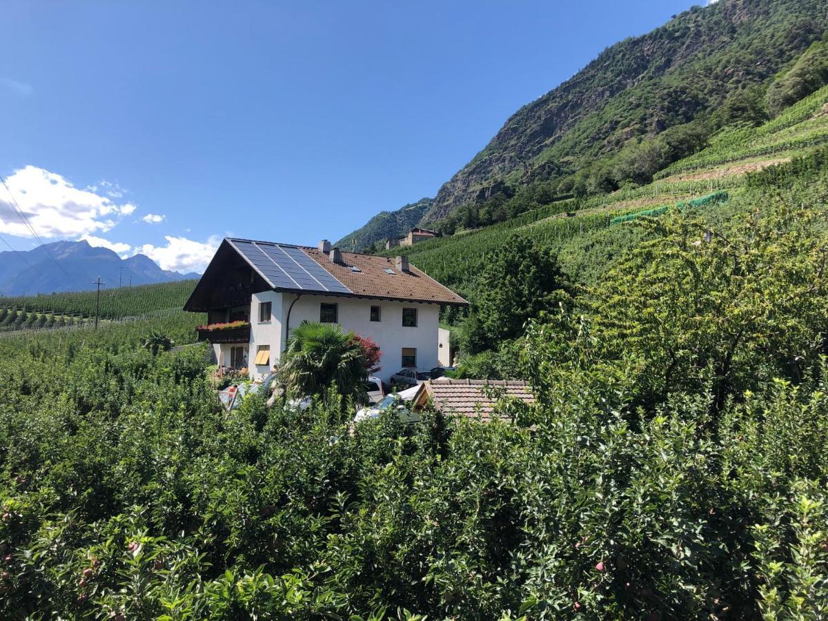 Pixnerhof - Urlaub Am Biohof Leilighet Castelbello Eksteriør bilde