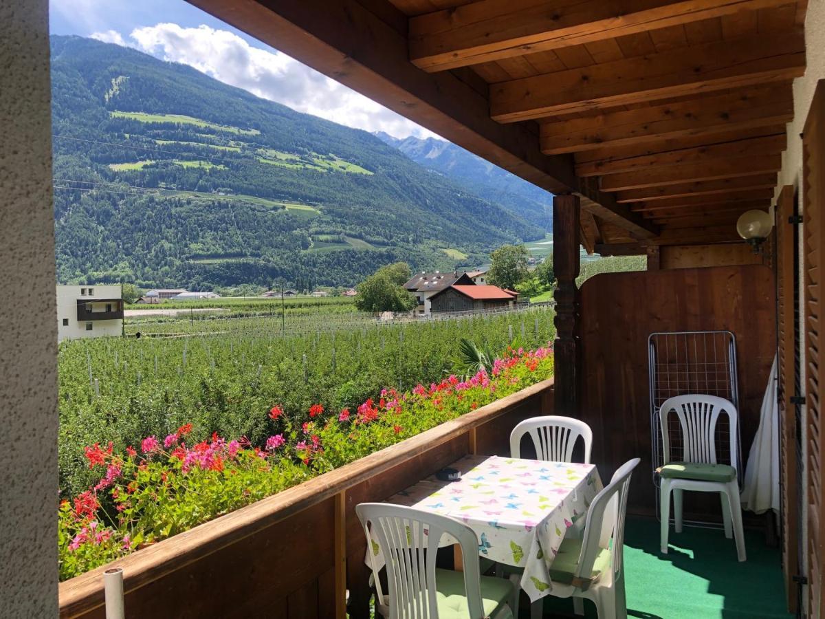 Pixnerhof - Urlaub Am Biohof Leilighet Castelbello Eksteriør bilde