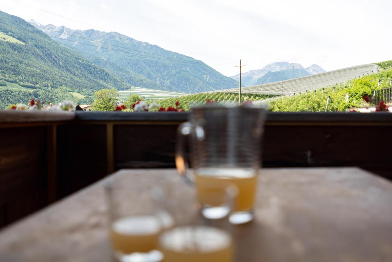 Pixnerhof - Urlaub Am Biohof Leilighet Castelbello Eksteriør bilde