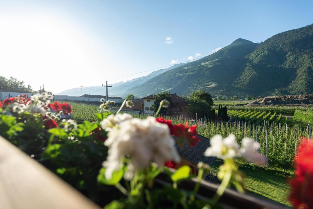 Pixnerhof - Urlaub Am Biohof Leilighet Castelbello Eksteriør bilde
