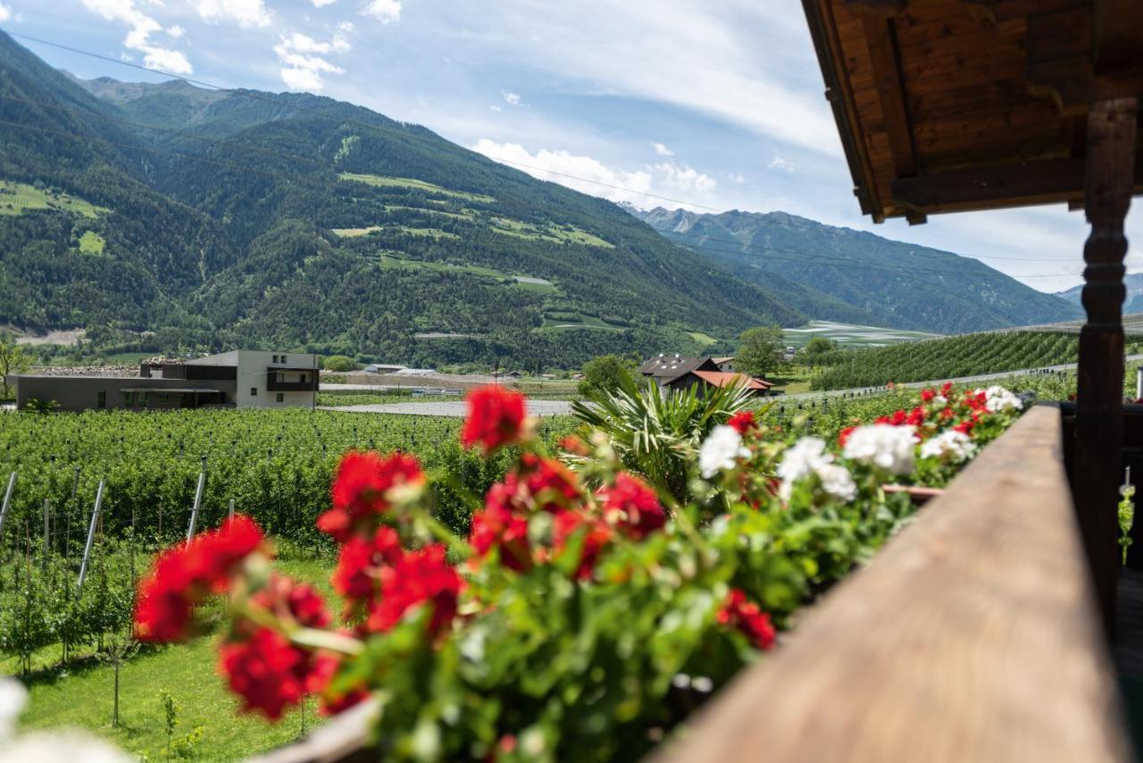 Pixnerhof - Urlaub Am Biohof Leilighet Castelbello Eksteriør bilde