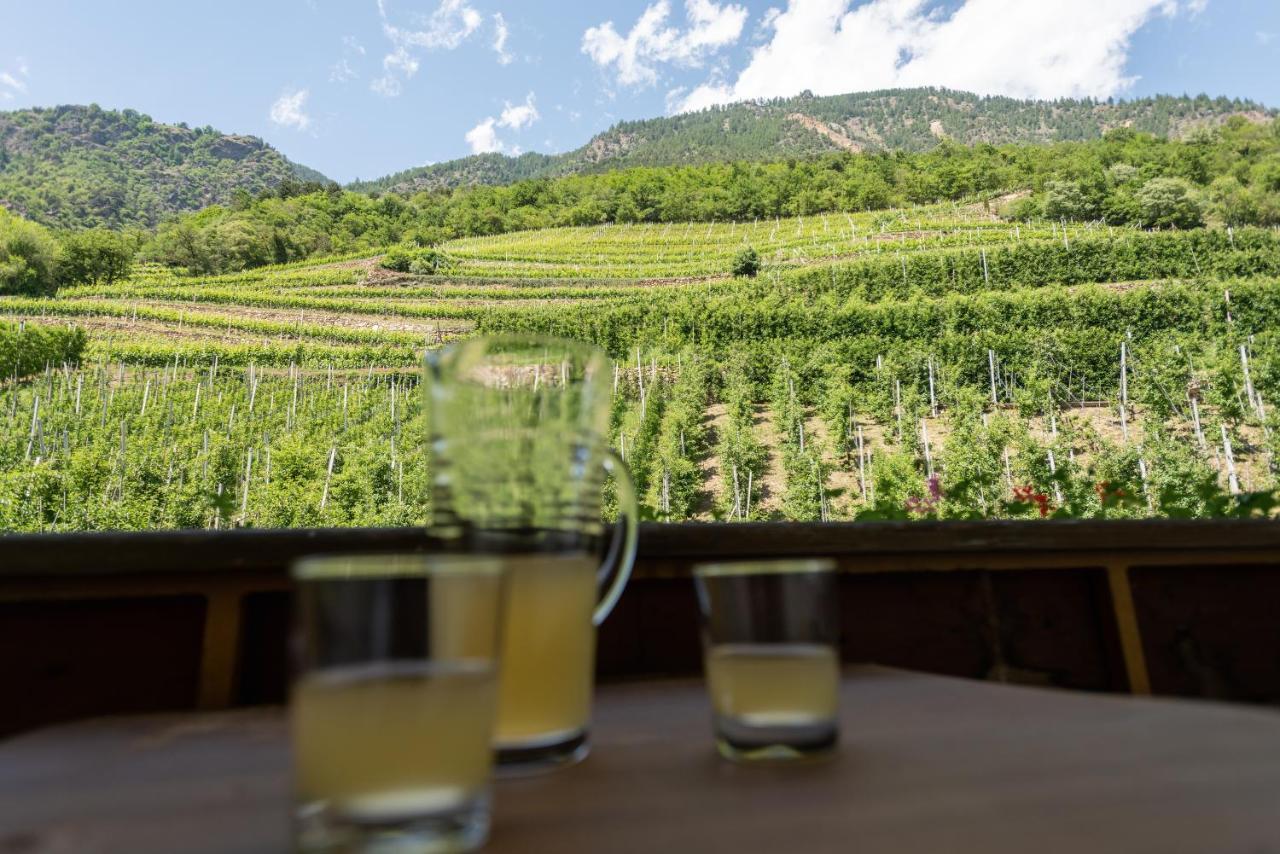Pixnerhof - Urlaub Am Biohof Leilighet Castelbello Eksteriør bilde